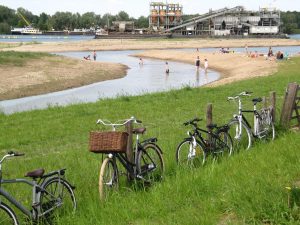 Randwijkse Waarden op Maak Gelderland mooier