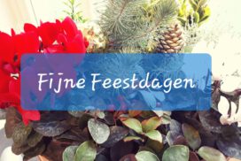 kerstgroet (copyright Claudia)